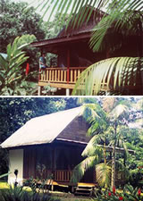 Golfo Dulce Lodge, Costa Rica