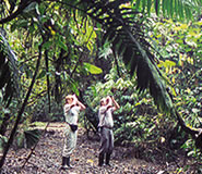 Golfo Dulce Lodge, Costa Rica