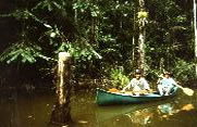 Laguna del Lagarto Lodge - Costa Rica