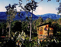 Selva Bananito, Costa Rica