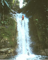 Selva Bananito, Costa Rica